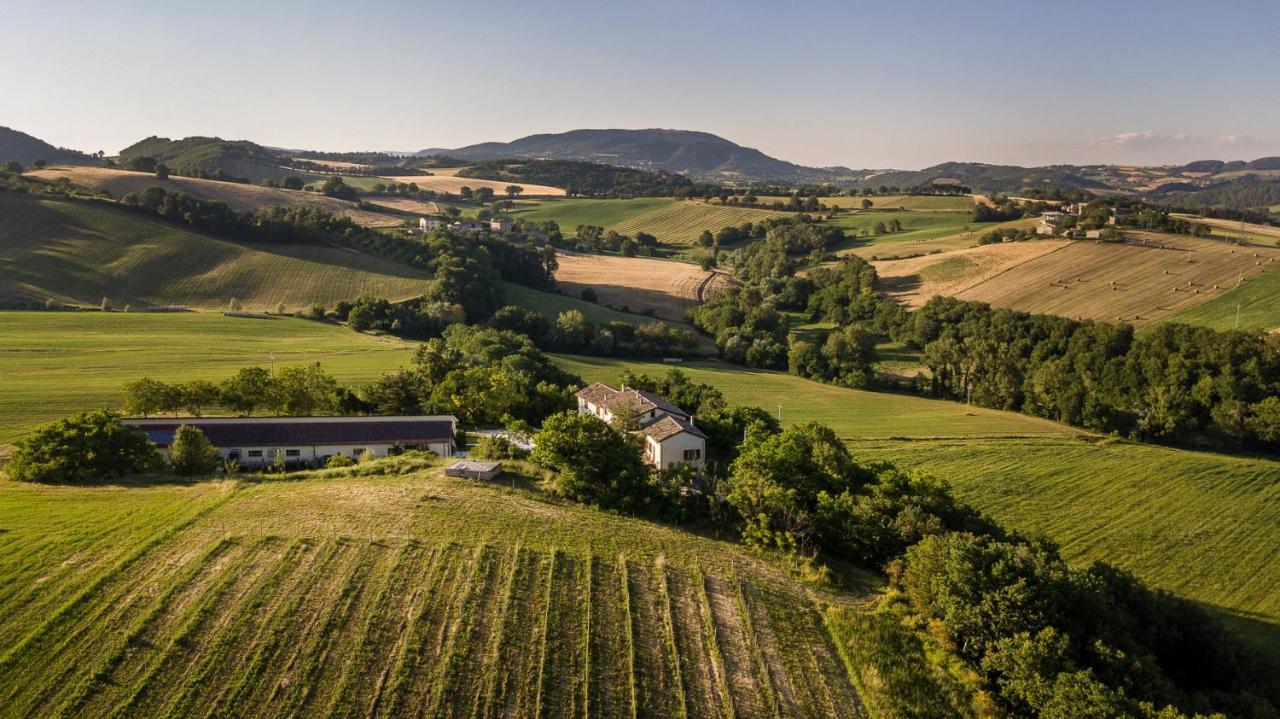 Sassoferrato Agriturismo Podere Coldifico מראה חיצוני תמונה