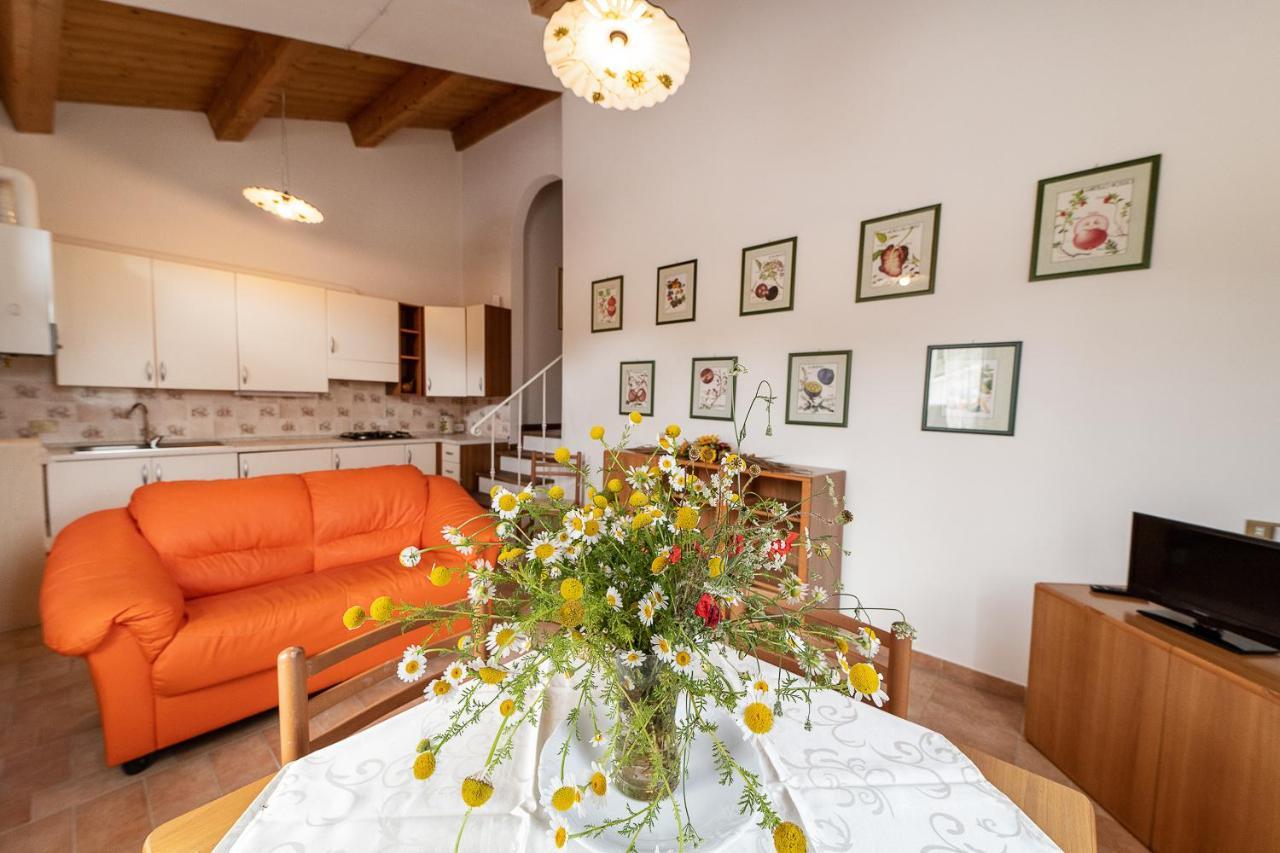 Sassoferrato Agriturismo Podere Coldifico מראה חיצוני תמונה