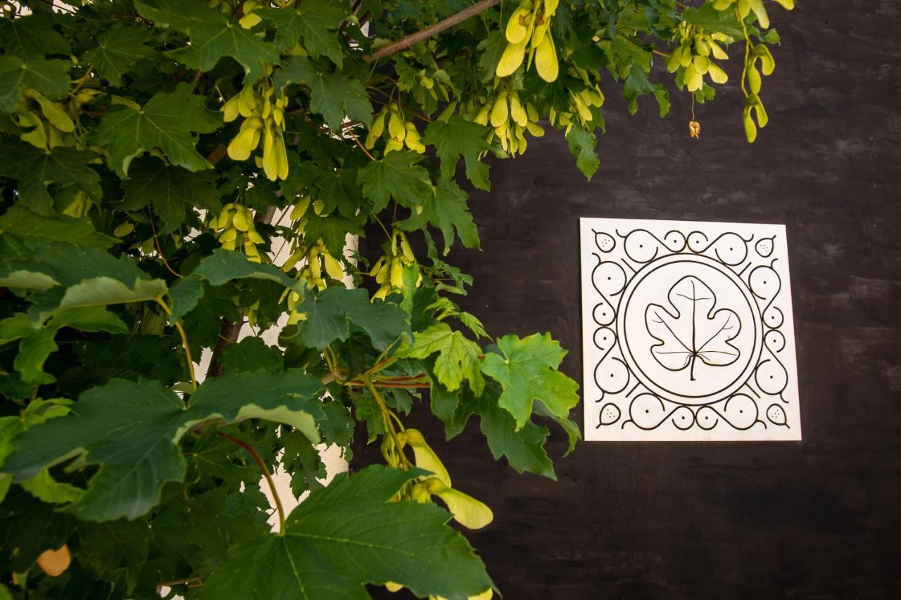 Sassoferrato Agriturismo Podere Coldifico מראה חיצוני תמונה
