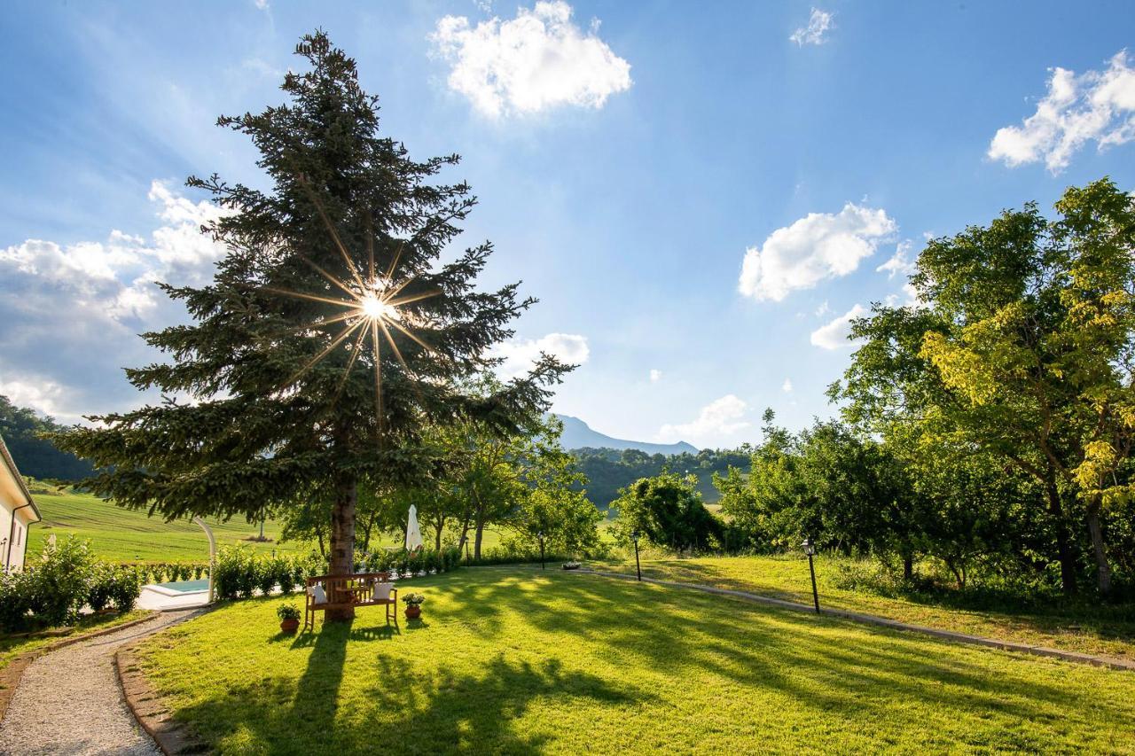 Sassoferrato Agriturismo Podere Coldifico מראה חיצוני תמונה